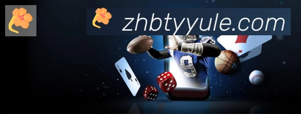 互动解说服务